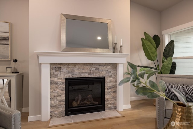 details featuring wood-type flooring and a fireplace