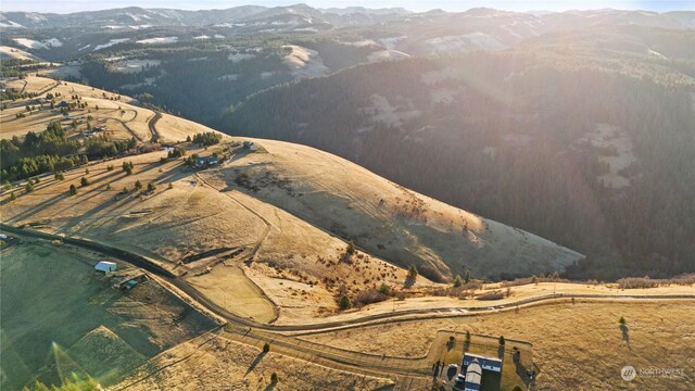 0 Seaman Rd, Dixie, WA 99329 - photo 1