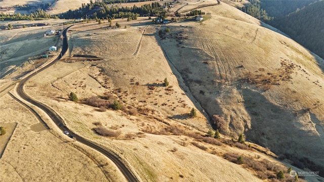 0 Seaman Rd, Dixie, WA 99329 - photo 9