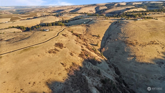 0 Seaman Rd, Dixie, WA 99329 - photo 13