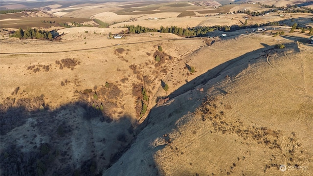 0 Seaman Rd, Dixie, WA 99329 - photo 15