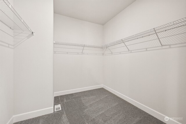 spacious closet with carpet flooring