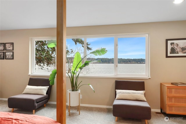 living area featuring carpet flooring, a water view, and a wealth of natural light