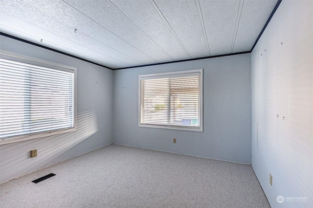 spare room with a textured ceiling, carpet floors, and ornamental molding