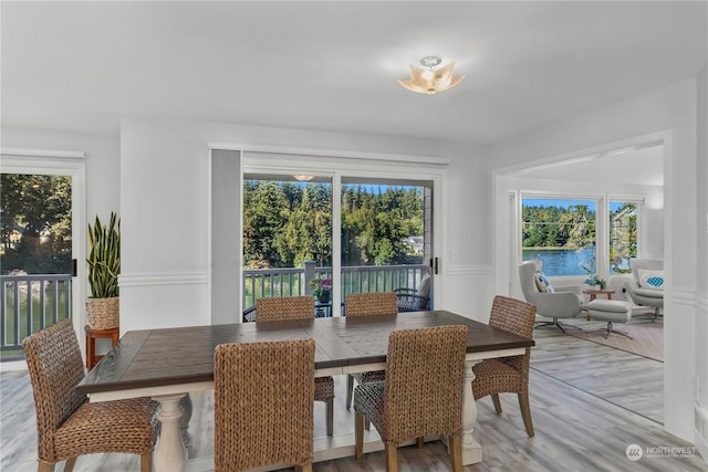 dining space featuring light wood-type flooring, a water view, and plenty of natural light