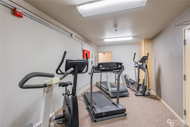 workout room with carpet floors