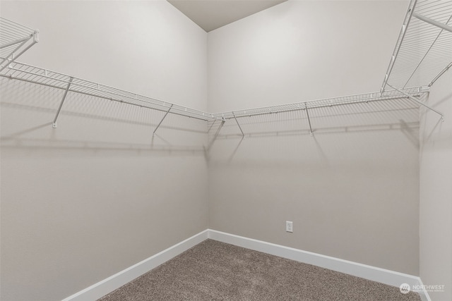 spacious closet with carpet floors