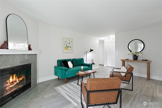 living room featuring a fireplace and light wood-type flooring