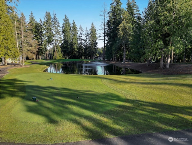 view of property's community with a lawn and a water view