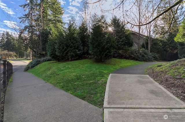 view of home's community featuring a yard