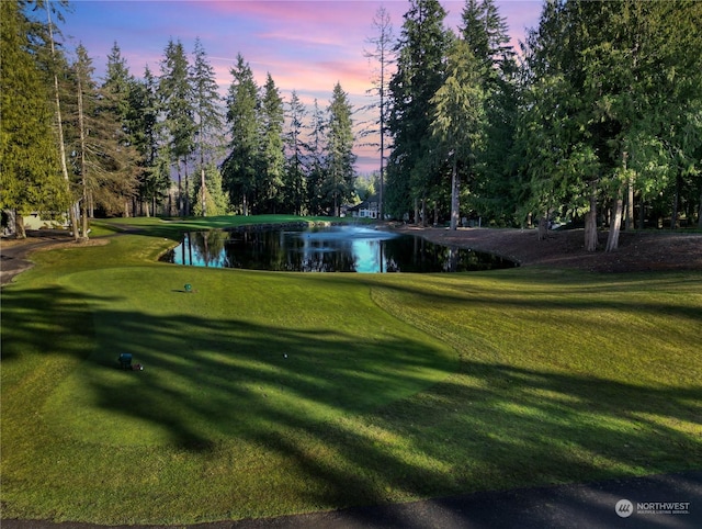 view of community with a water view and a yard