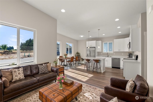 living room with hardwood / wood-style floors and sink