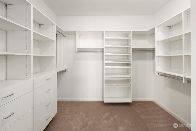 walk in closet with dark carpet