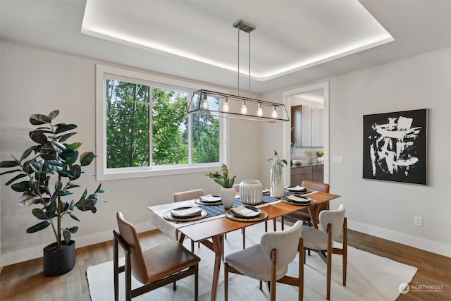 dining area featuring wood-type flooring and a tray ceiling