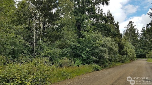 4200 168th Ln, Long Beach WA, 98631 land for sale