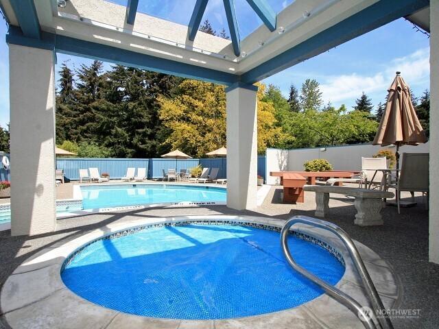 view of pool featuring a patio