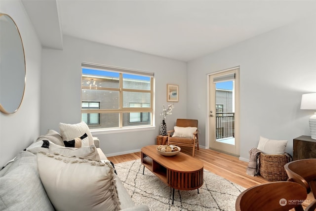 living room with light hardwood / wood-style floors