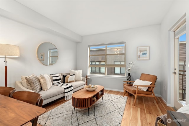 living room with light hardwood / wood-style flooring and plenty of natural light