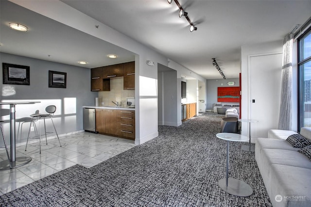 kitchen with dishwasher, backsplash, and track lighting