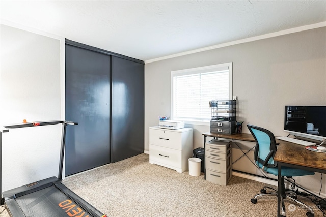 home office with light carpet and crown molding