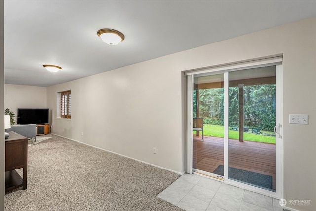 interior space with light carpet