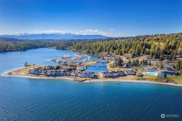 drone / aerial view featuring a water and mountain view