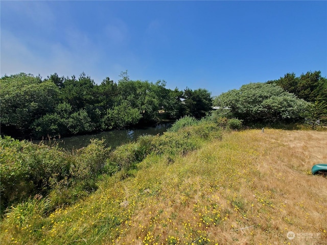 view of local wilderness with a water view