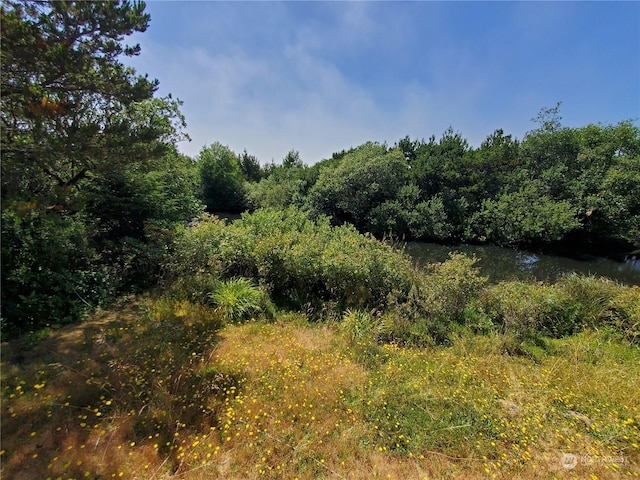 view of landscape with a water view