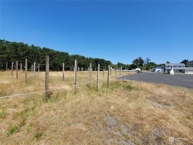 view of yard with a rural view