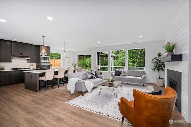 living room with light hardwood / wood-style floors