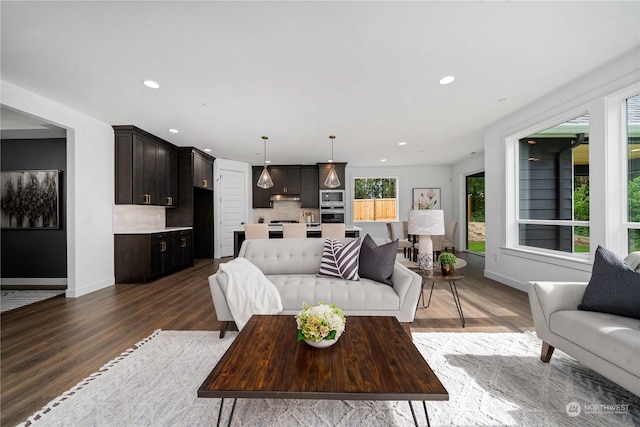 living room featuring dark hardwood / wood-style flooring