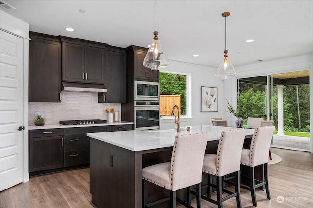 kitchen with tasteful backsplash, dark hardwood / wood-style flooring, an island with sink, pendant lighting, and appliances with stainless steel finishes