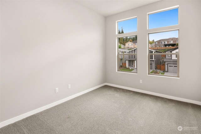 spare room featuring carpet floors