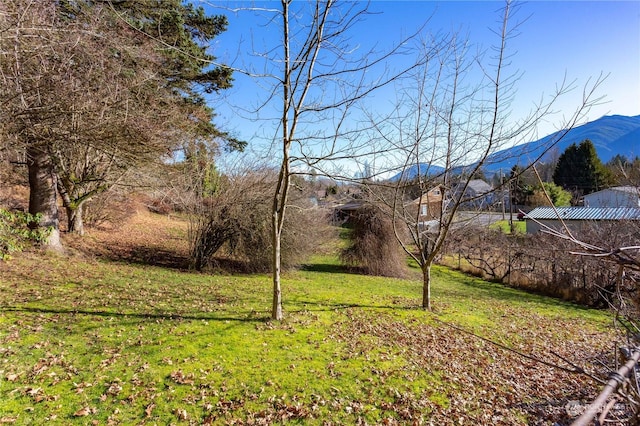 view of yard featuring a mountain view