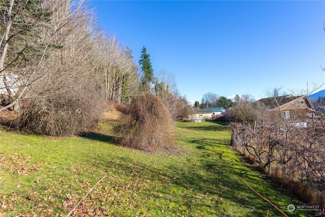 45143 Main St, Concrete, WA 98237 - view of yard