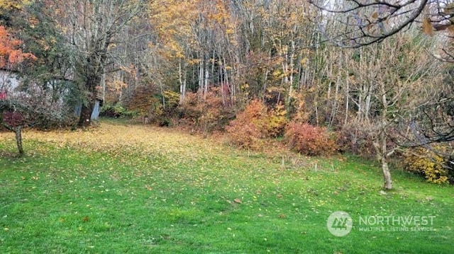 45143 Main St, Concrete, WA 98237 - view of yard
