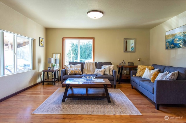 45143 Main St, Concrete, WA 98237 - living room featuring light hardwood / wood-style flooring