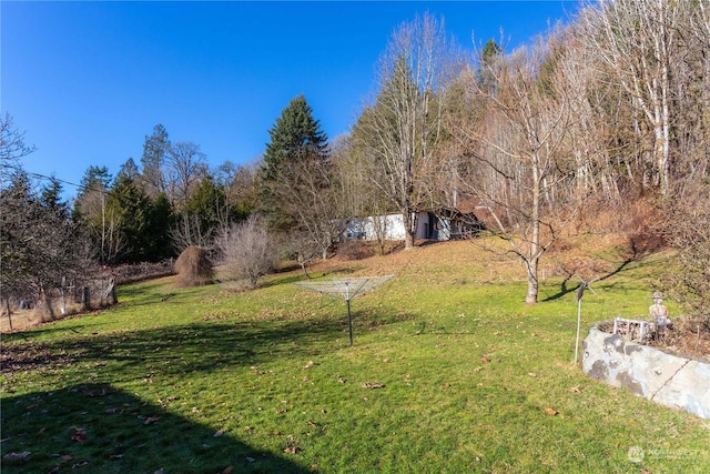 45143 Main St, Concrete, WA 98237 - view of yard