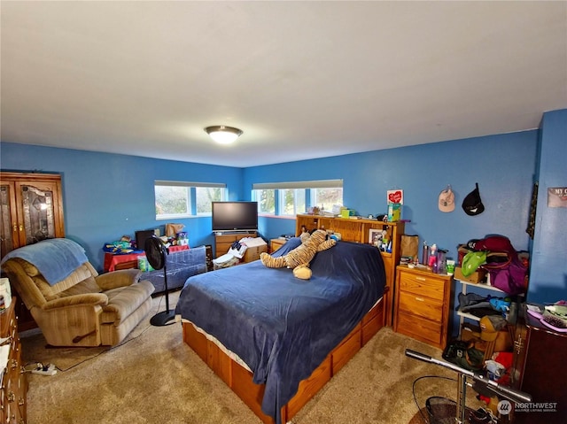 view of carpeted bedroom