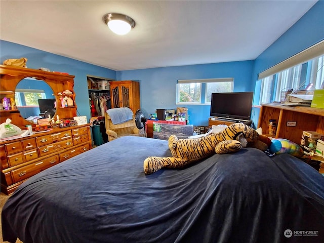 bedroom featuring a closet