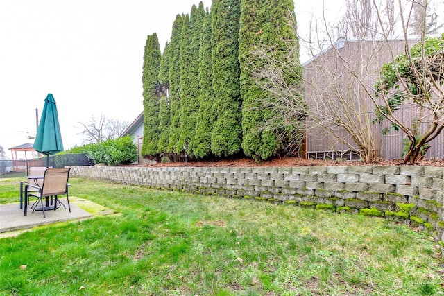 view of yard with a patio