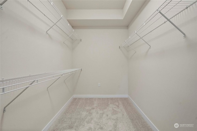 walk in closet featuring light colored carpet