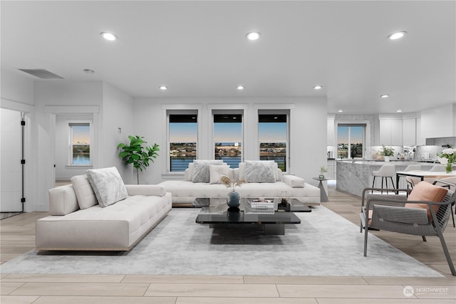 living room with light hardwood / wood-style flooring