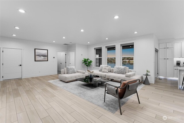 living room featuring light hardwood / wood-style flooring