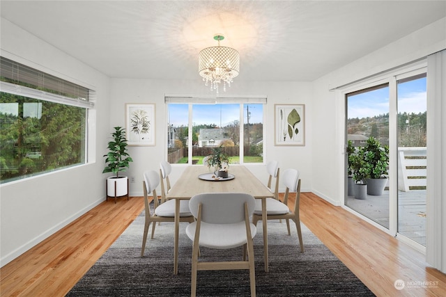 dining space with an inviting chandelier, hardwood / wood-style flooring, and plenty of natural light