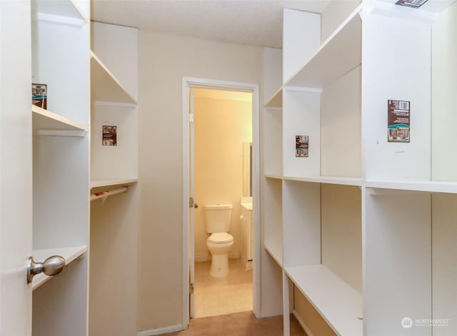 bathroom featuring toilet