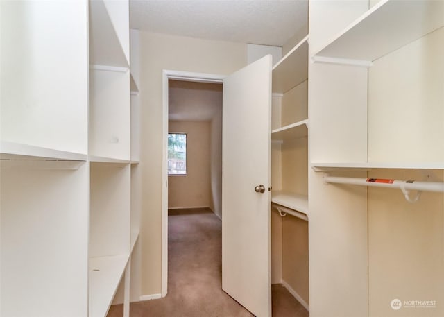 walk in closet featuring light carpet