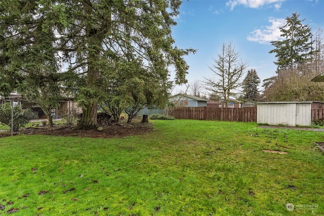 view of yard featuring a shed