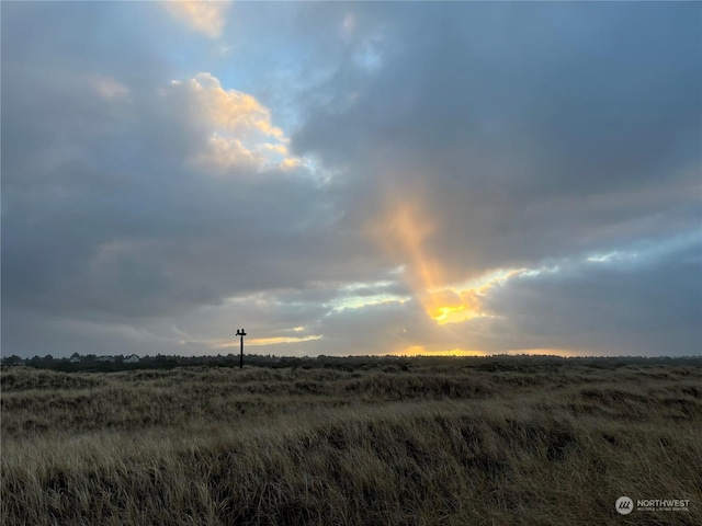 view of nature at dusk