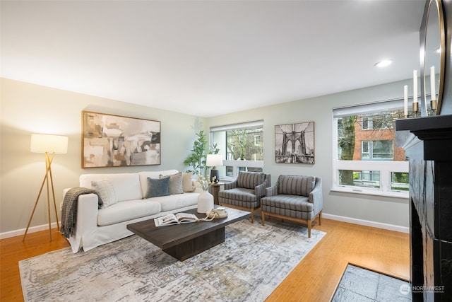 living room featuring hardwood / wood-style floors